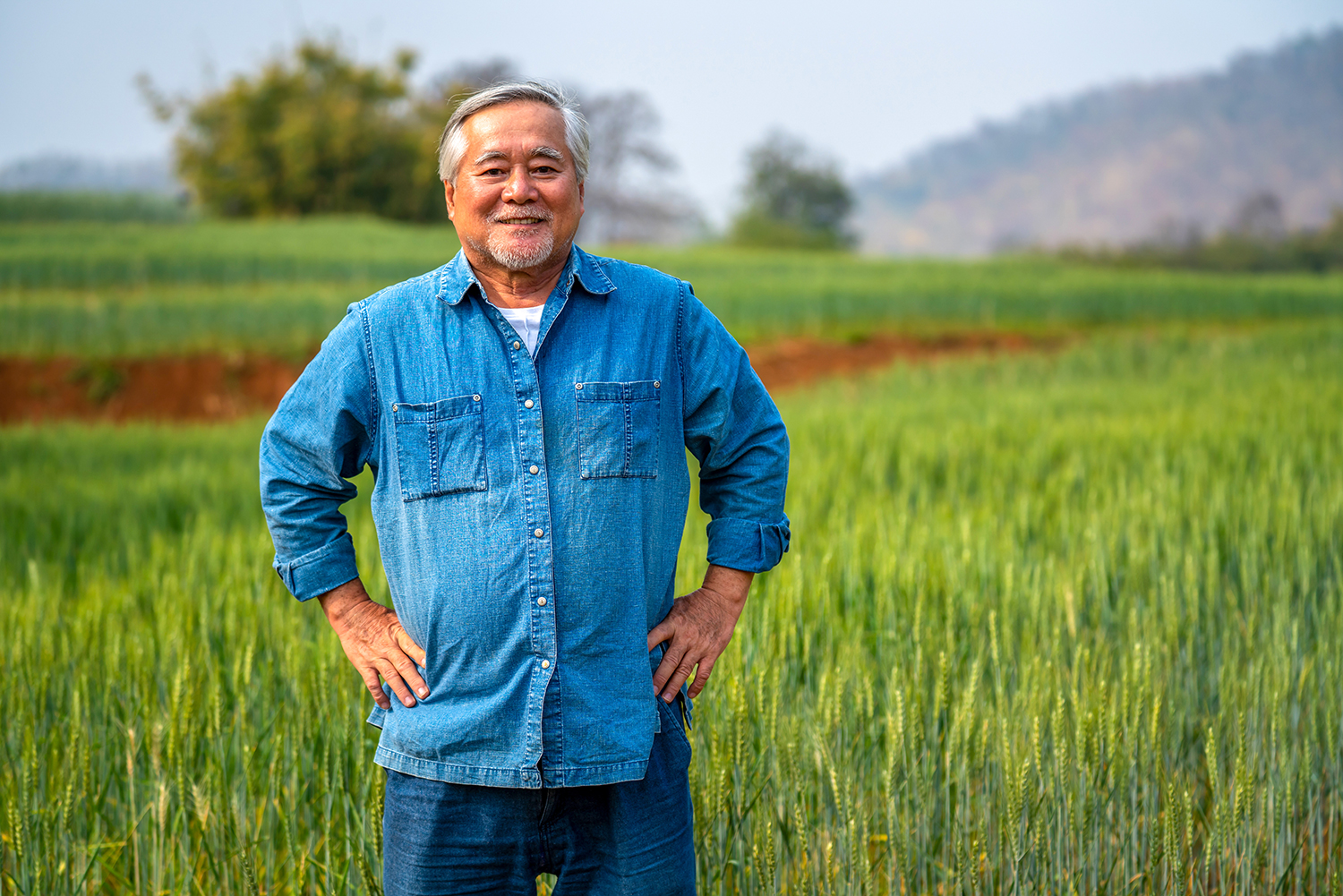 Senior farmer standing in a field outdoors